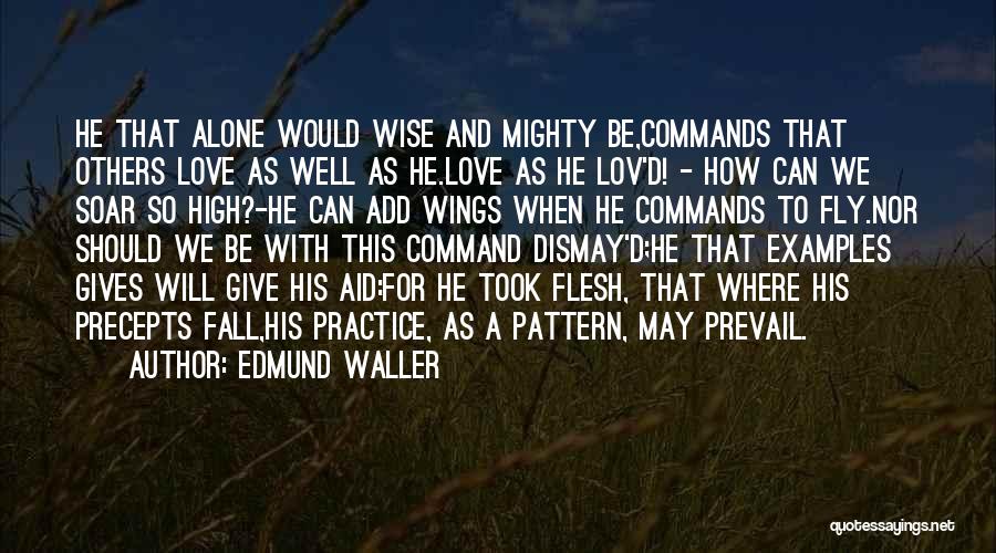 Fly And Fall Quotes By Edmund Waller