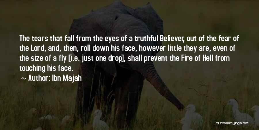 Fly And Fall Quotes By Ibn Majah