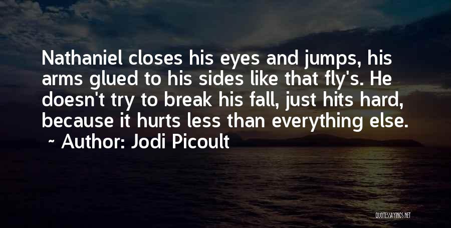 Fly And Fall Quotes By Jodi Picoult