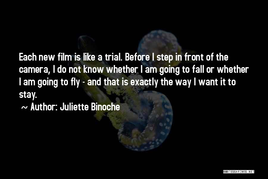 Fly And Fall Quotes By Juliette Binoche