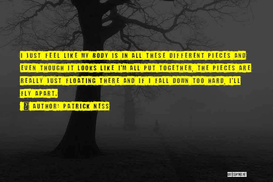 Fly And Fall Quotes By Patrick Ness