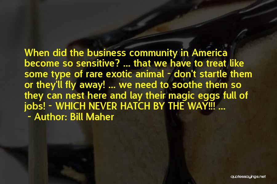Fly Away From Here Quotes By Bill Maher