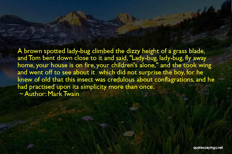 Fly Away Home Quotes By Mark Twain