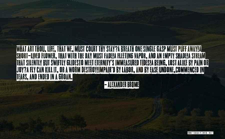 Fly Away Quotes By Alexander Brome Fly Away Quotes By Alexander Brome