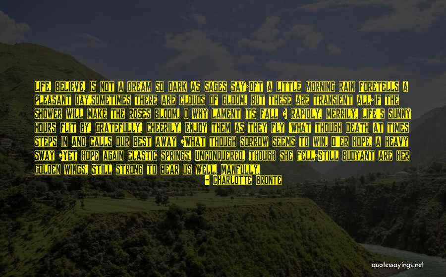Fly Away Quotes By Charlotte Bronte Fly Away Quotes By Charlotte Bronte