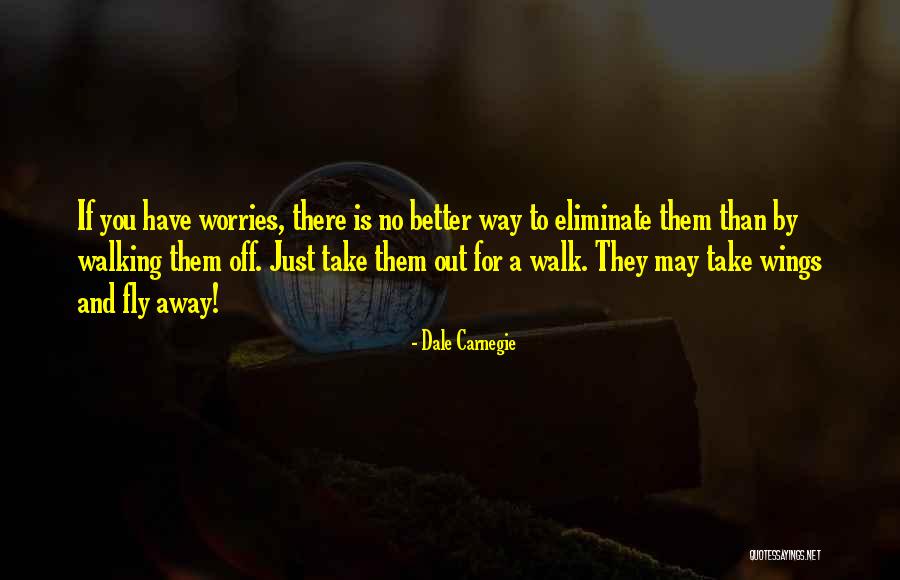 Fly Away Quotes By Dale Carnegie Fly Away Quotes By Dale Carnegie