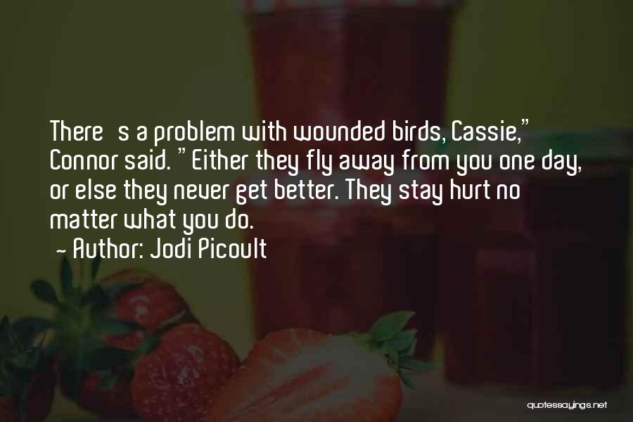 Fly Away Quotes By Jodi Picoult