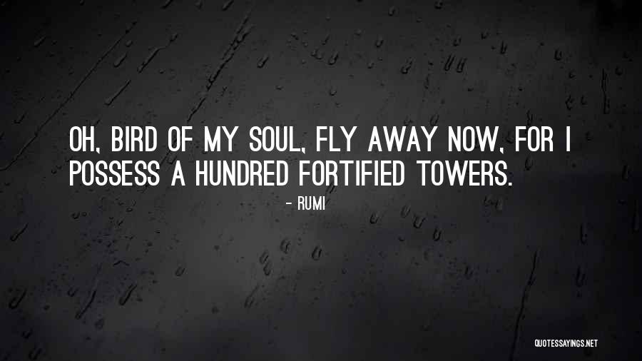 Fly Away Quotes By Rumi Fly Away Quotes By Rumi