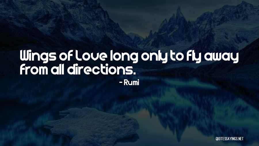 Fly Away Quotes By Rumi Fly Away Quotes By Rumi