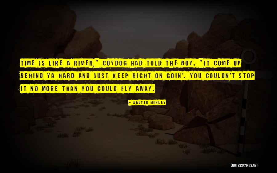 Fly Away Quotes By Walter Mosley Fly Away Quotes By Walter Mosley