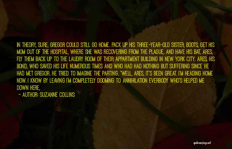 Fly Back Home Quotes By Suzanne Collins