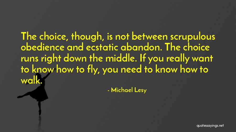 Fly Down Quotes By Michael Lesy Fly Down Quotes By Michael Lesy