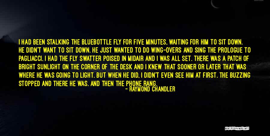Fly Down Quotes By Raymond Chandler Fly Down Quotes By Raymond Chandler