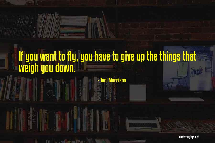 Fly Down Quotes By Toni Morrison Fly Down Quotes By Toni Morrison