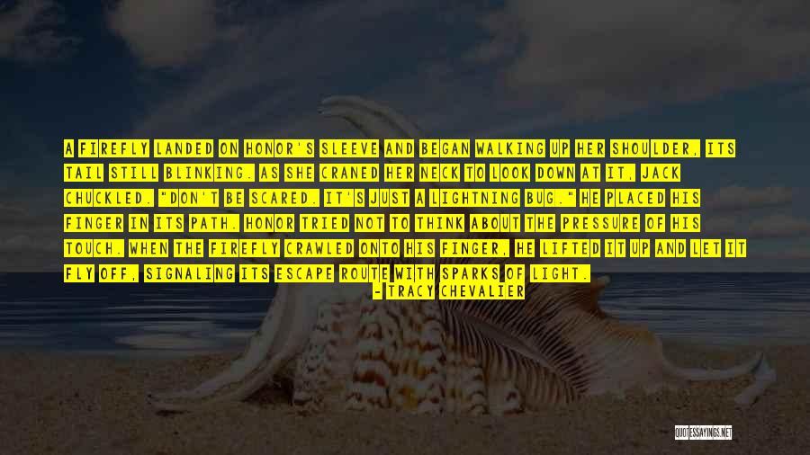 Fly Down Quotes By Tracy Chevalier Fly Down Quotes By Tracy Chevalier