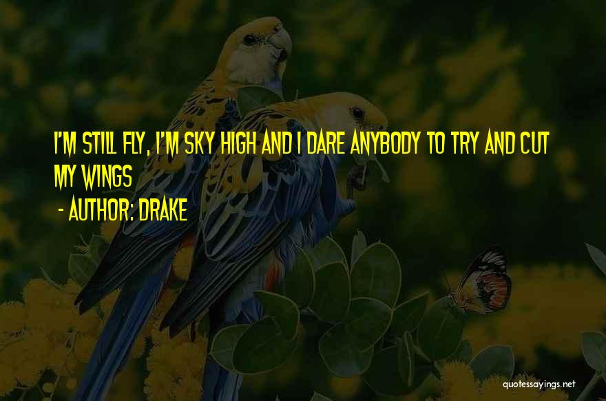 Fly High Sky Quotes By Drake