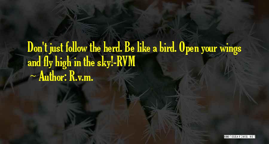 Fly High Sky Quotes By R.v.m.