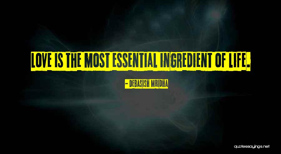 Fly In The Ointment Quotes By Debasish Mridha Fly In The Ointment Quotes By Debasish Mridha
