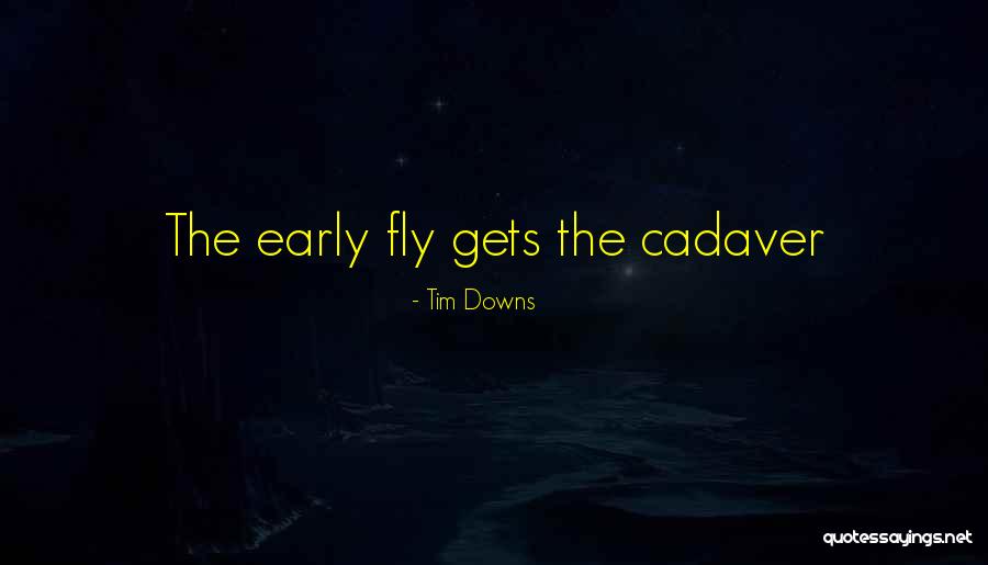 Fly Insect Quotes By Tim Downs