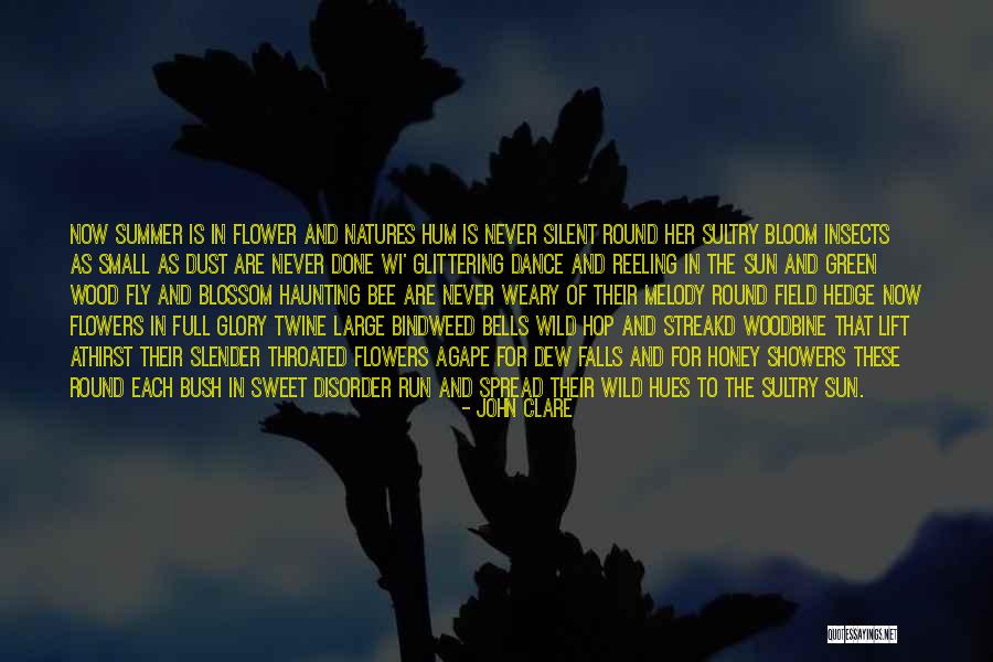 Fly Insects Quotes By John Clare Fly Insects Quotes By John Clare