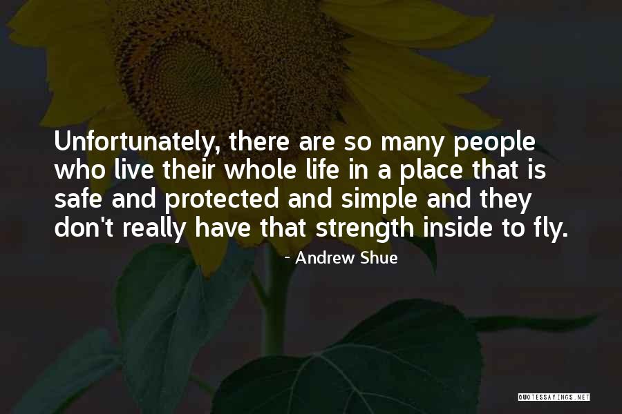 Fly Safe Quotes By Andrew Shue