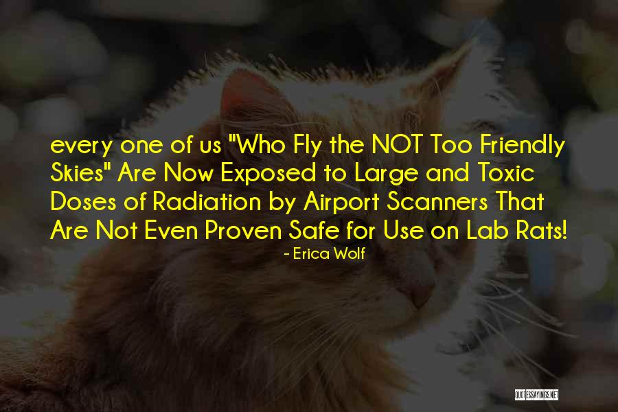 Fly Safe Quotes By Erica Wolf