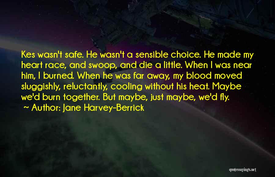 Fly Safe Quotes By Jane Harvey-Berrick