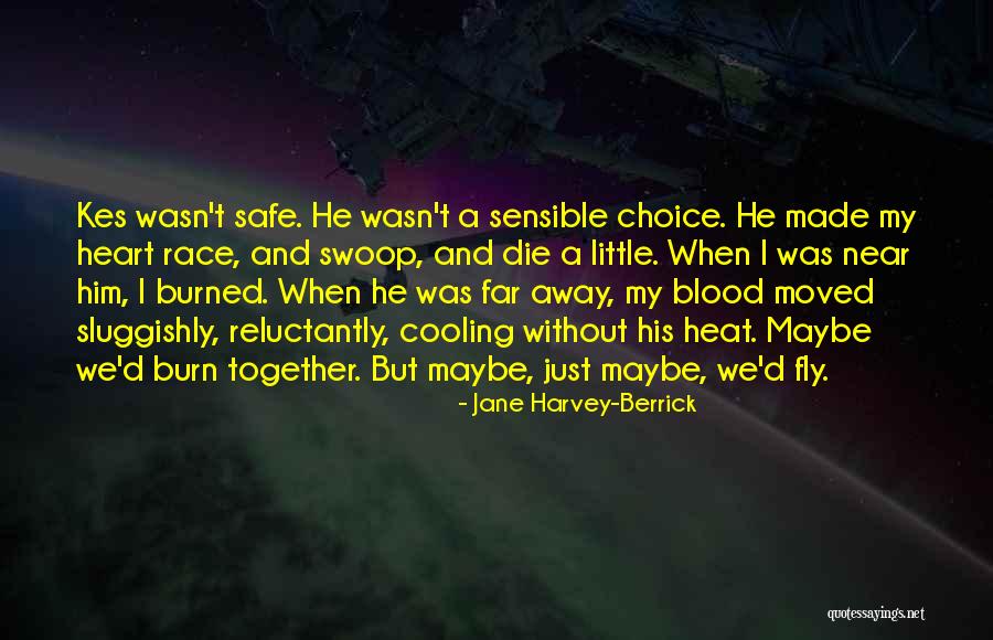 Fly Safe Quotes By Jane Harvey-Berrick