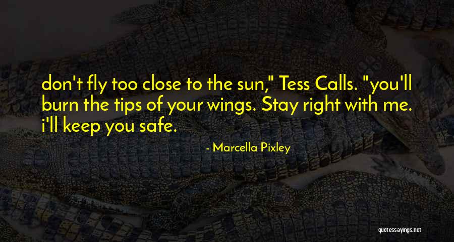 Fly Safe Quotes By Marcella Pixley