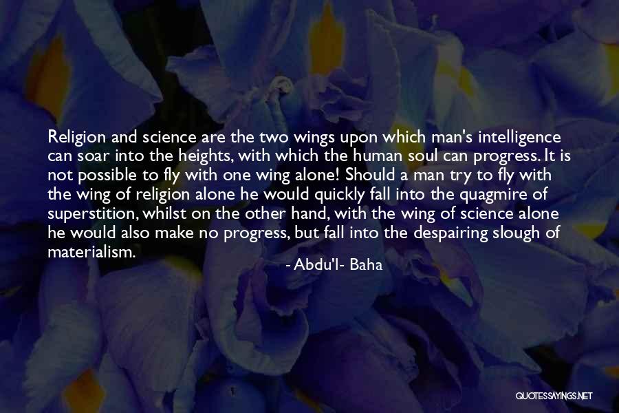 Fly Soar Quotes By Abdu'l- Baha