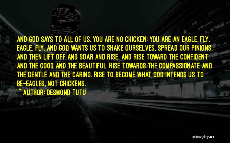 Fly Soar Quotes By Desmond Tutu