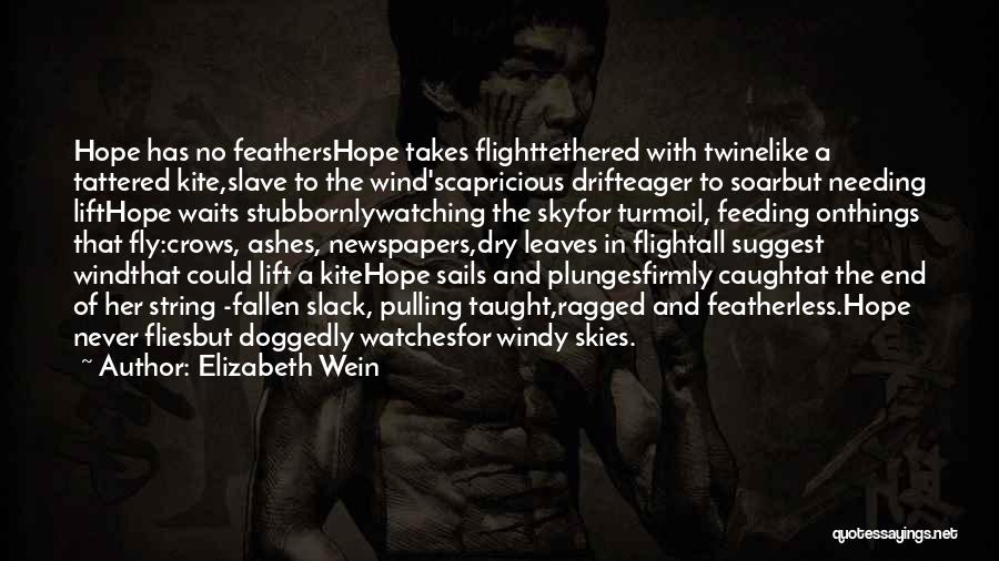 Fly Soar Quotes By Elizabeth Wein