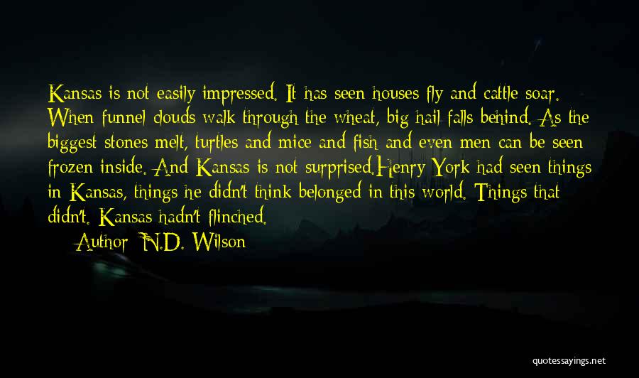 Fly Soar Quotes By N.D. Wilson