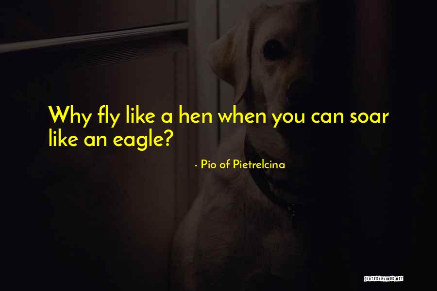 Fly Soar Quotes By Pio Of Pietrelcina