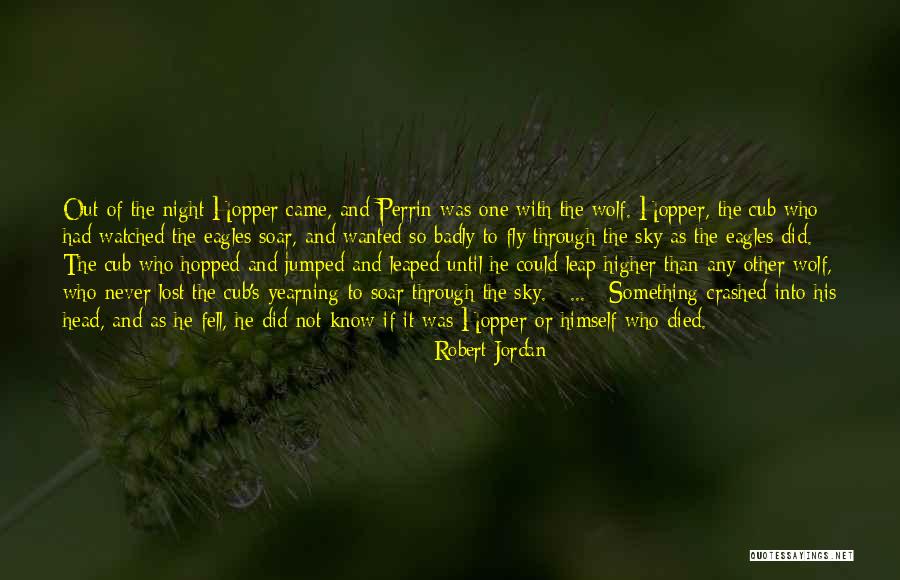 Fly Soar Quotes By Robert Jordan