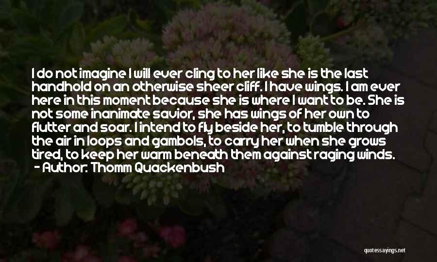 Fly Soar Quotes By Thomm Quackenbush