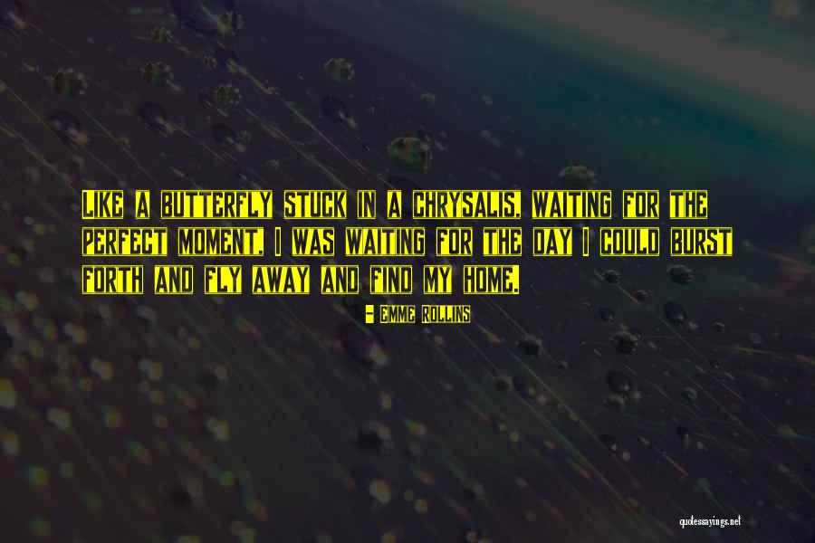 Fly Stuck Quotes By Emme Rollins Fly Stuck Quotes By Emme Rollins