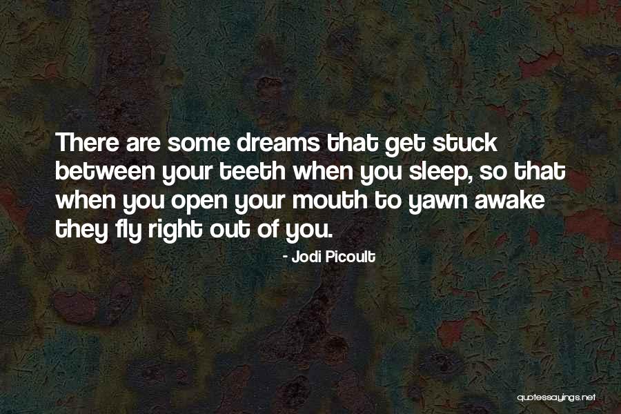 Fly Stuck Quotes By Jodi Picoult Fly Stuck Quotes By Jodi Picoult