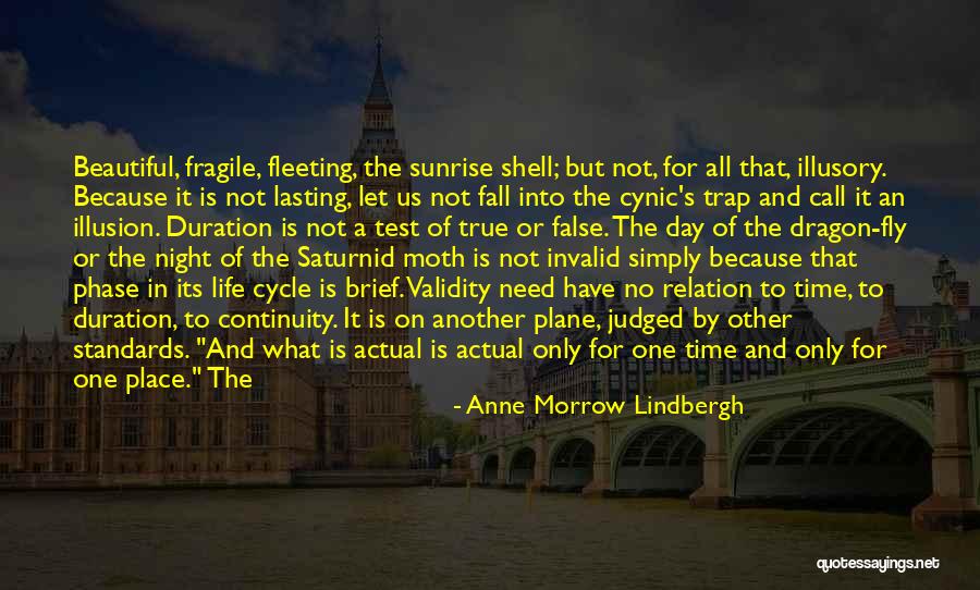 Fly Trap Quotes By Anne Morrow Lindbergh Fly Trap Quotes By Anne Morrow Lindbergh