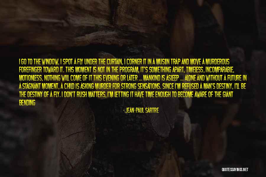 Fly Trap Quotes By Jean-Paul Sartre