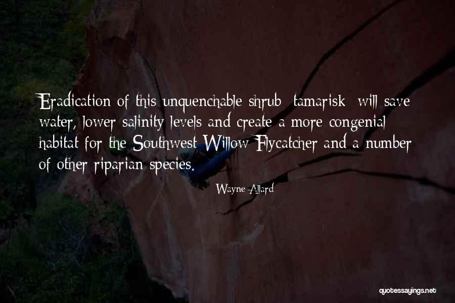 Flycatcher Quotes By Wayne Allard Flycatcher Quotes By Wayne Allard