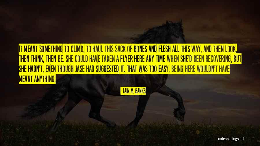 Flyer Quotes By Iain M. Banks