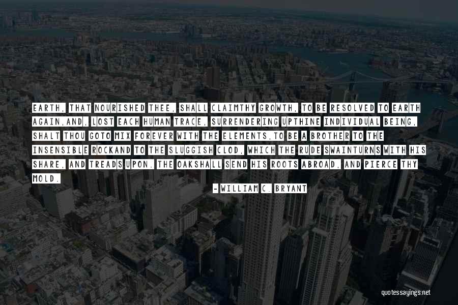 Flygare Hogs Quotes By William C. Bryant Flygare Hogs Quotes By William C. Bryant