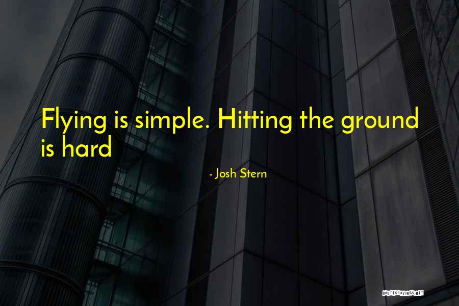 Flyinf Quotes By Josh Stern Flyinf Quotes By Josh Stern