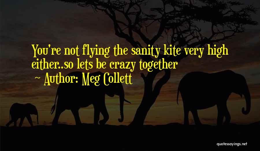 Flying A Kite Quotes By Meg Collett