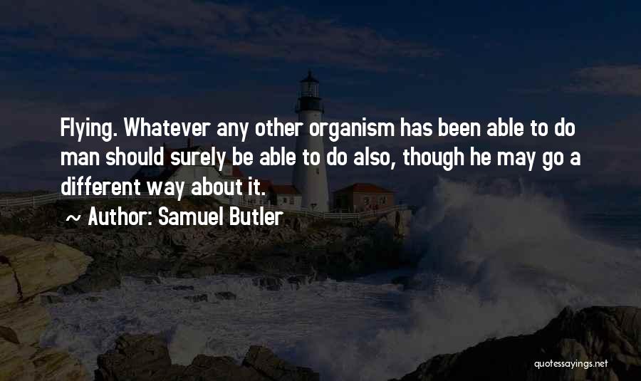 Flying Airplane Quotes By Samuel Butler