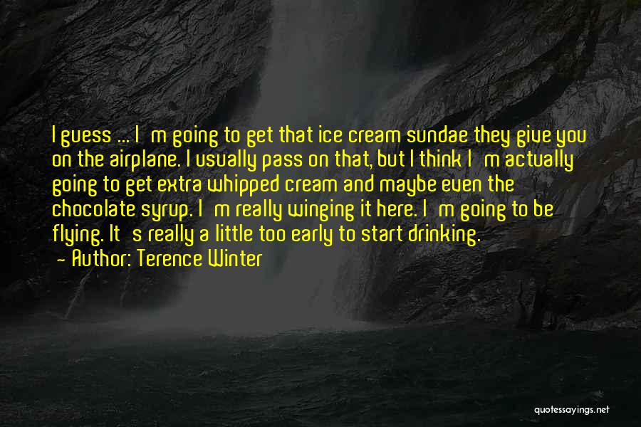 Flying Airplane Quotes By Terence Winter