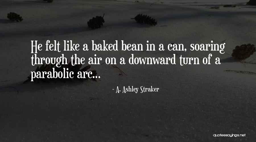 Flying And Soaring Quotes By A. Ashley Straker