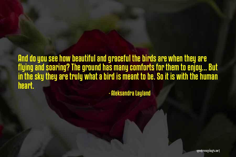 Flying And Soaring Quotes By Aleksandra Layland