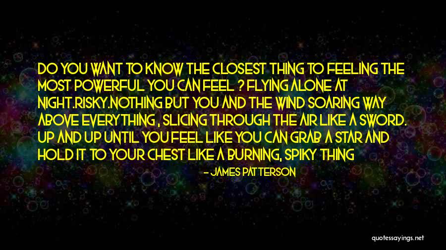 Flying And Soaring Quotes By James Patterson
